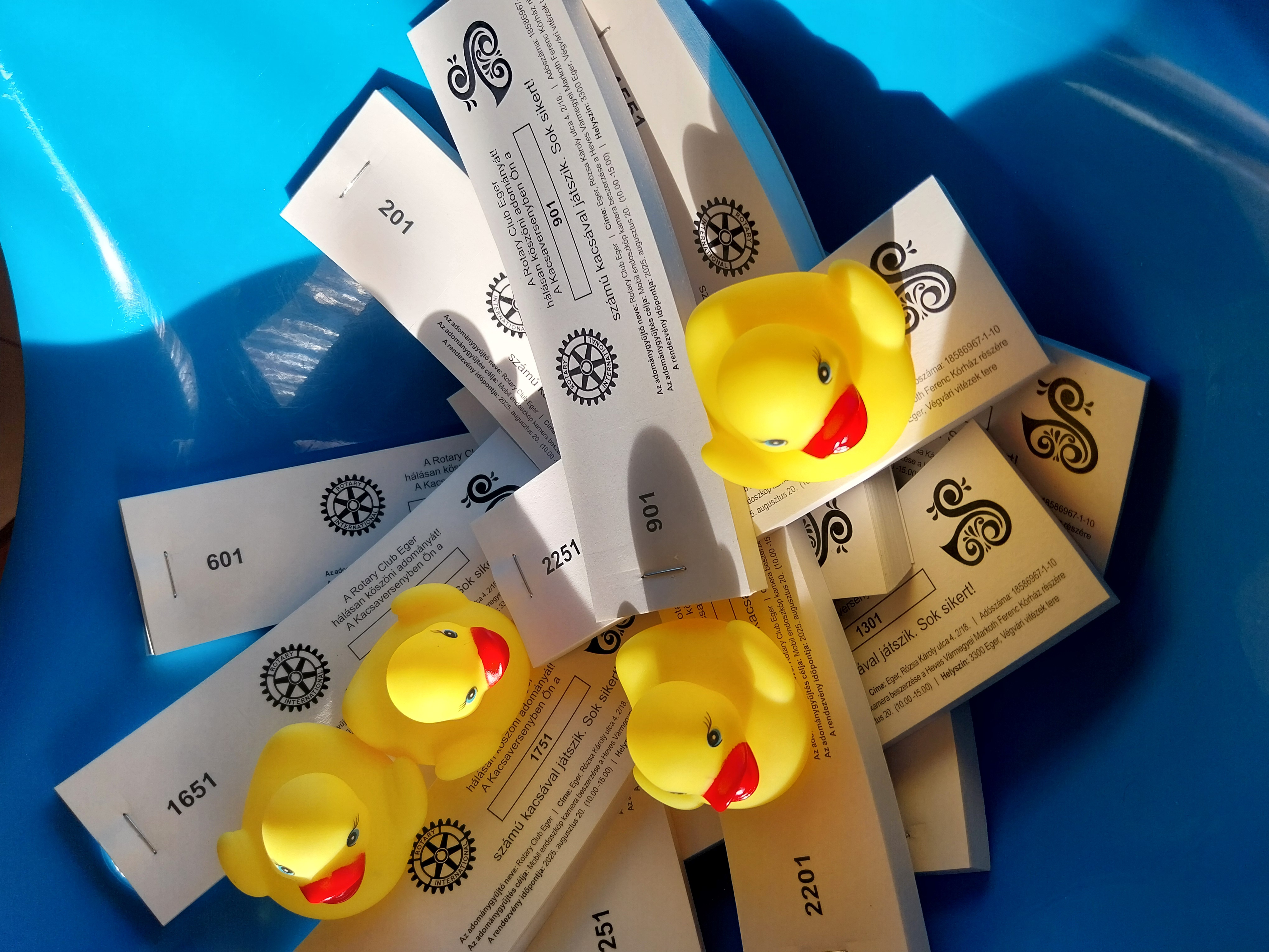 RC Eger Patak parti kacsa parti